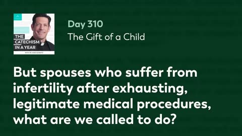 Day 310: The Gift of a Child — The Catechism in a Year (with Fr. Mike Schmitz)