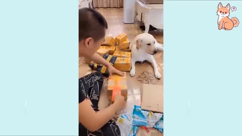 Cute Puppies. Funny Videos😄🤣. Complitation #1