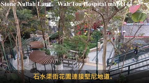 石水渠街。石水渠街花園。華佗醫院。藍屋 Stone Nullah Lane & Garden。Wah Tuo Hospital。Blue House, mhp1144, Feb 2021