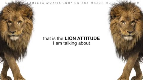 The Lion Attitude