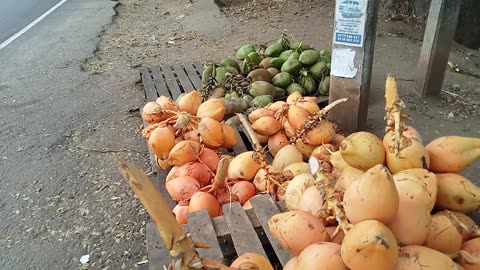 Sri Lankan Stunning Coconut