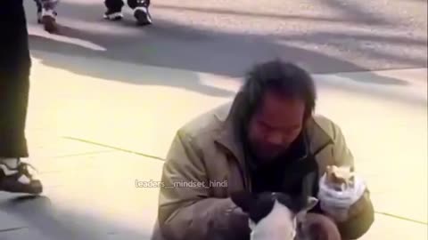 Human Love For Dogs