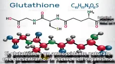 I ricercatori spagnoli hanno scoperto cosa è in realtà il fantavirus