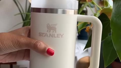 Stanley Quencher H2.0 FlowState Stainless Steel Vacuum Insulated Tumbler with Lid and Straw