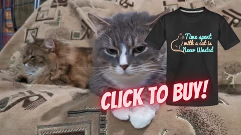 "Time Spent With a Cat is Never Wasted" - Available in Shirts, Hoodies, Mugs, Hats & So Much More!