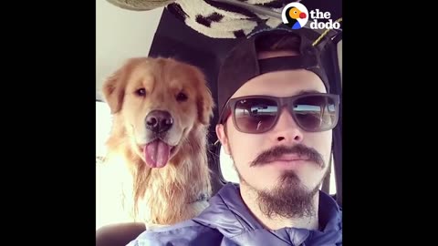 Dog Copies His Dad's Facial Expressions | The Dodo