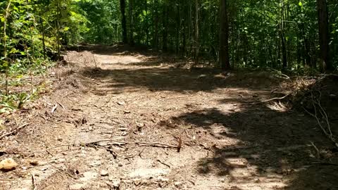 Driveway and future homesite July 2022