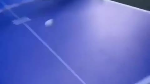 Dog vs Ping Pong Ball