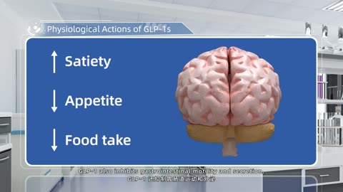 Physiological Actions of GLP-1s