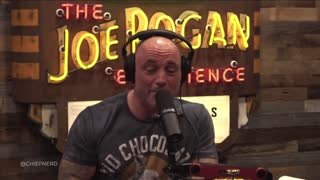 Rogan Labels Kayleigh McEnany The GOAT: "She Was The Michael Jordan Of WH Press Sec"