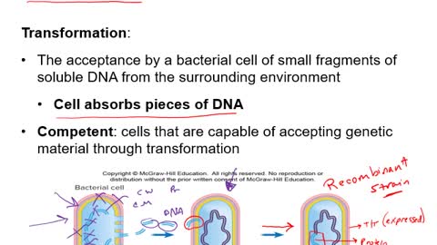 Microbial Genetics