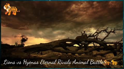 Lions vs Hyenas Eternal Rivals Animal Battle🐅🐆