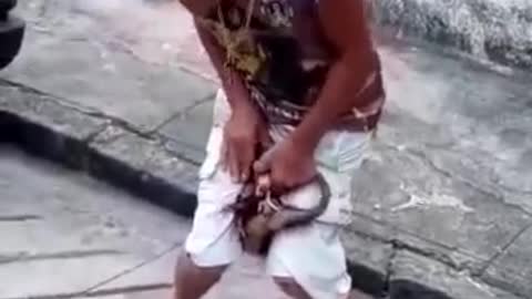 man fights with possum