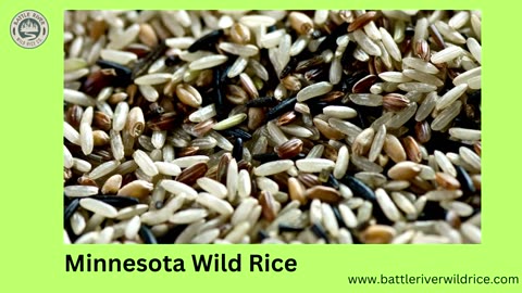 Minnesota Wild Rice
