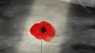 Remembrance Day 2021 Flanders Fields By John McCrae