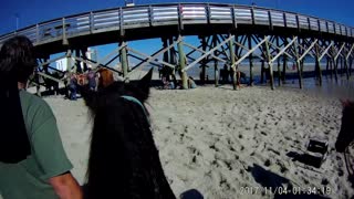HORSE RIDE ON BEACH.