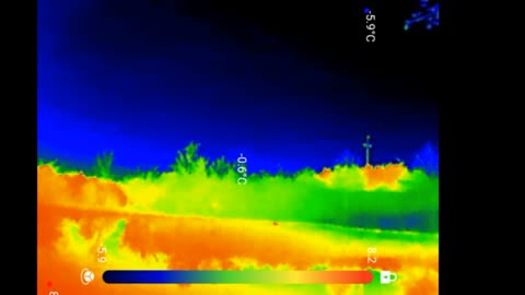 Bats in flight - thermal camera