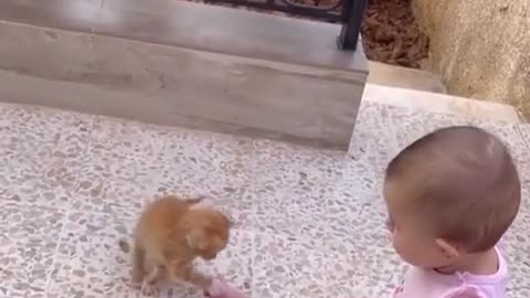 Cute KITTEN playing with BABY