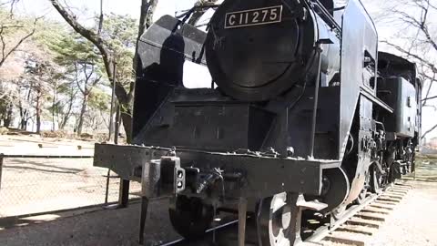 C11-275 on display at the local park