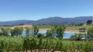 Napa, California winery scenery