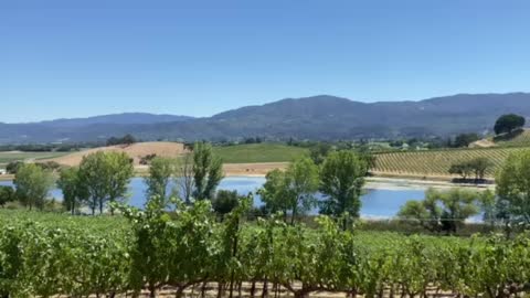 Napa, California winery scenery