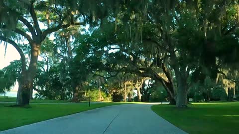 MY LITTLE VIDEO NO. 102-RETURN TO JEKYLL ISLAND