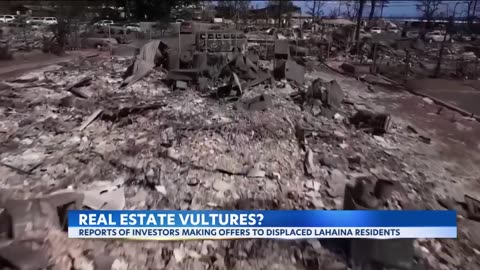Maui Fires - Call From Realtors