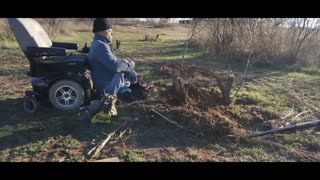 Removing Tree Stumps The Easy Way