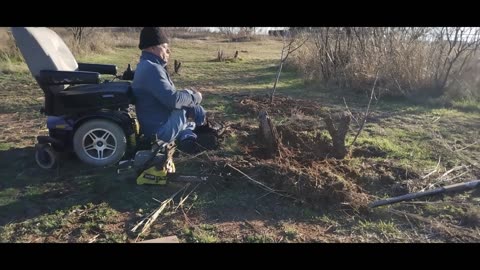 Removing Tree Stumps The Easy Way