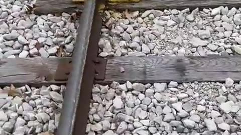 Sabotage on a railtrack in USA near some chemical plant, warn everyone