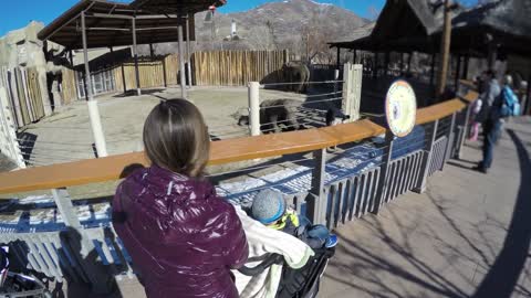 mother and son watch elephant trainer at the zoo doing tricks