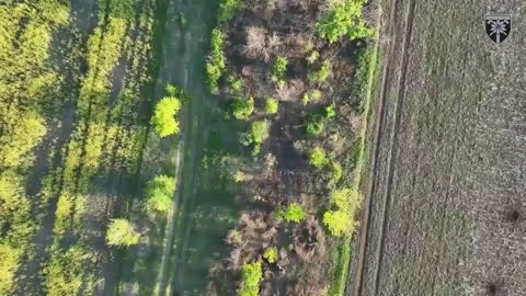 Ukrainian drone carrying a submunition chases a Russian through the woods - Eastern Ukraine