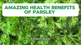 Amazing Health Benefits Of Parsley