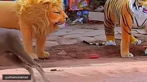 YUDHAMUHAMAD fake Lion and Fake Tiger Prank #4