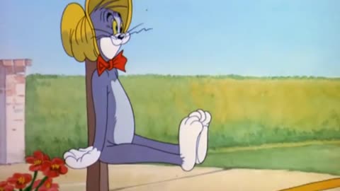 best funny movie catoon tom and jerry #3