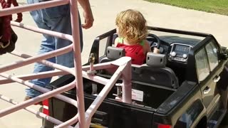 Toddler Tows Mini Horse in Custom Trailer
