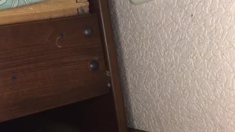 Wall Plug Monster Hides Under the Bed