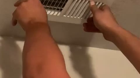 Helping a Cat Out of a Vent