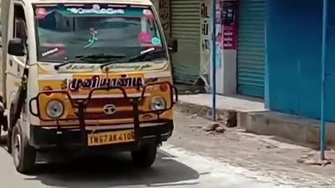 Bull Chases Truck to Save the Cow He Loves