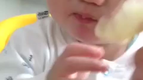 cute baby eating a lemon