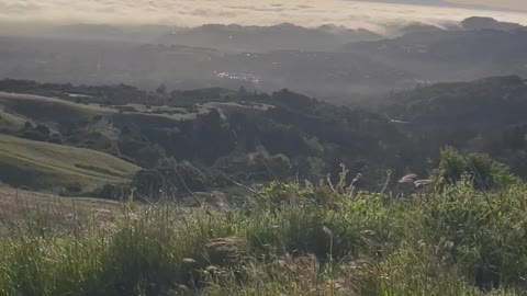 Bay Area Trails - Windy Hill Open Preserve Portola Valley