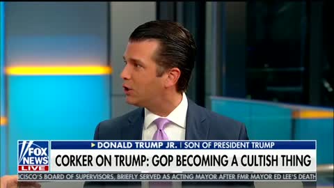 Donald Trump Jr — If Trumpism Is A Cult, It's Working Because They Like Winning