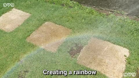 I created a rainbow using a garden hose