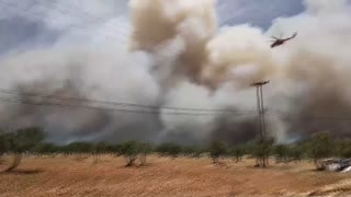 Video de graves incendios registrados en Grecia