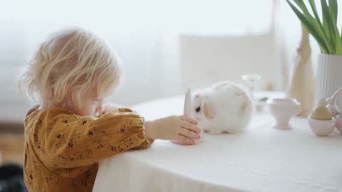 A Cute Child Playing with a Cute Baby Bunny