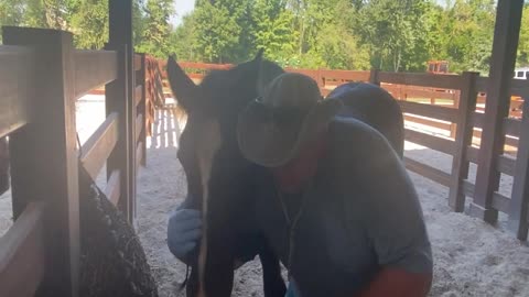 Giving oral liquid medication to horse