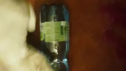 Caty Playing With Water Bottle