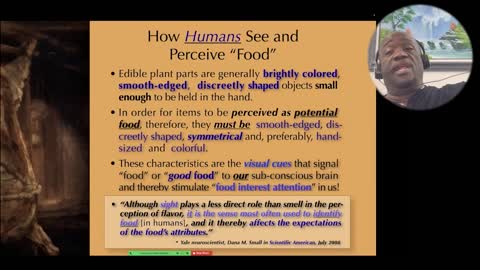 Meat Eating & Mind Games: Exploring the Psychology