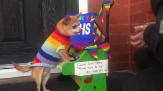 Ollie Performs on the Piano