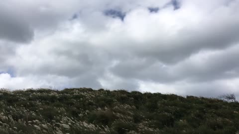 White Clouds over a Lush Field